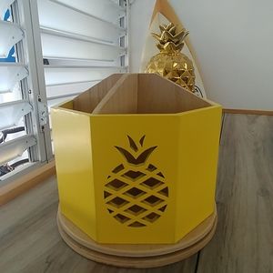 Pineapple carousel 🍍